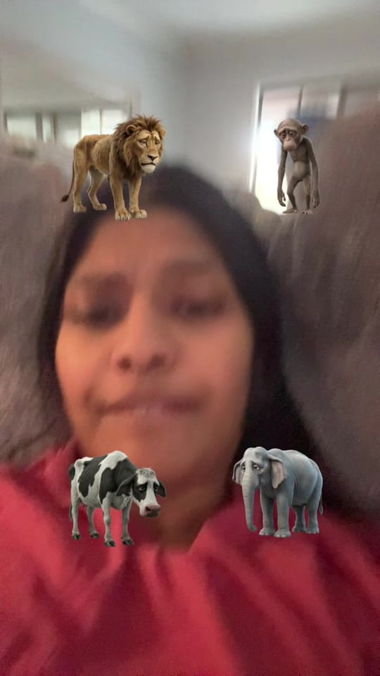 Post 3 by Nishtok on TikTok (video)