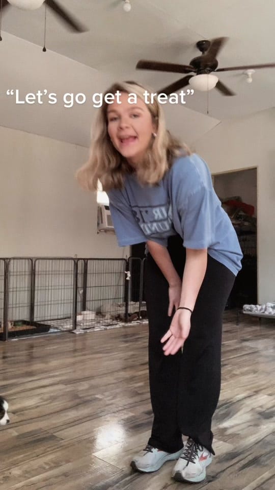 Post 7 by Gunslinger Aussies on TikTok (video)