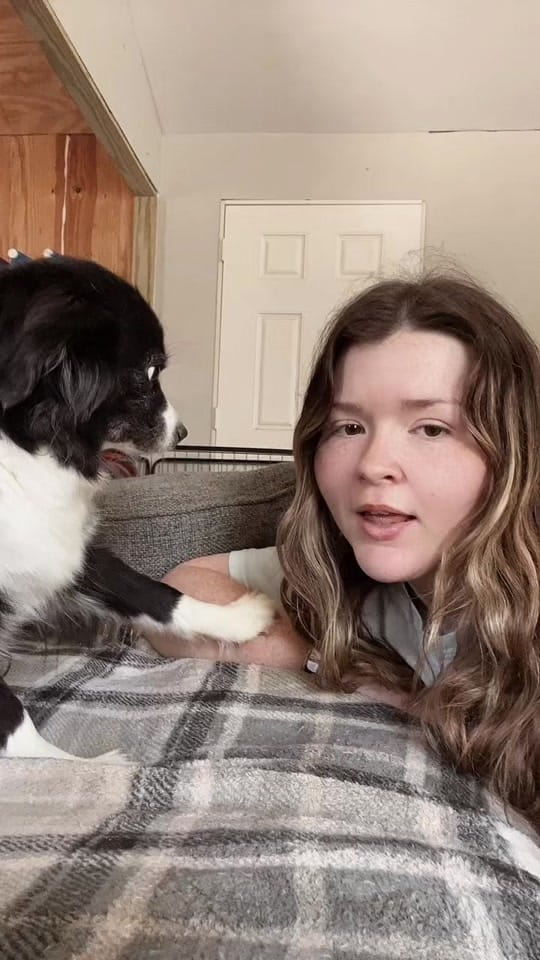 Post 9 by Gunslinger Aussies on TikTok (video)