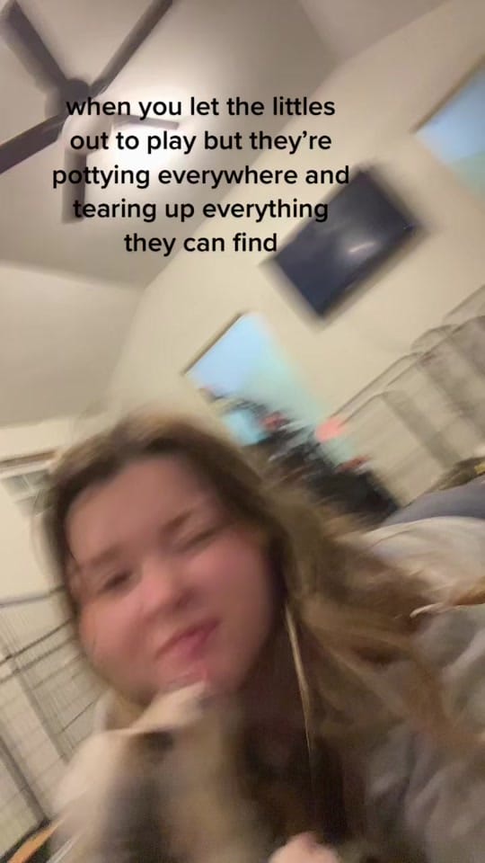 Post 10 by Gunslinger Aussies on TikTok (video)