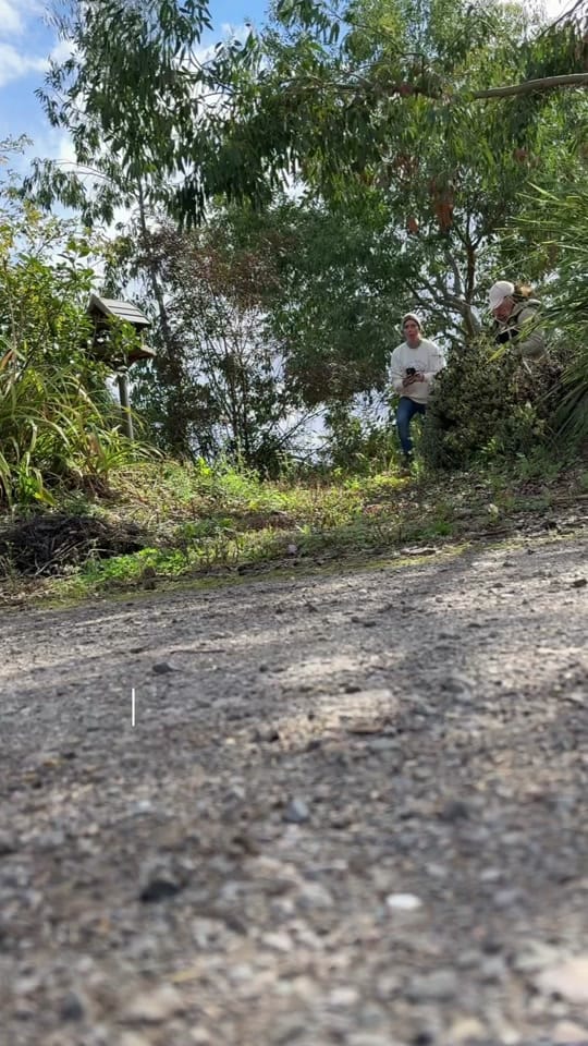 Post 1 by Andrew Hoy OAM OLY on TikTok (video)