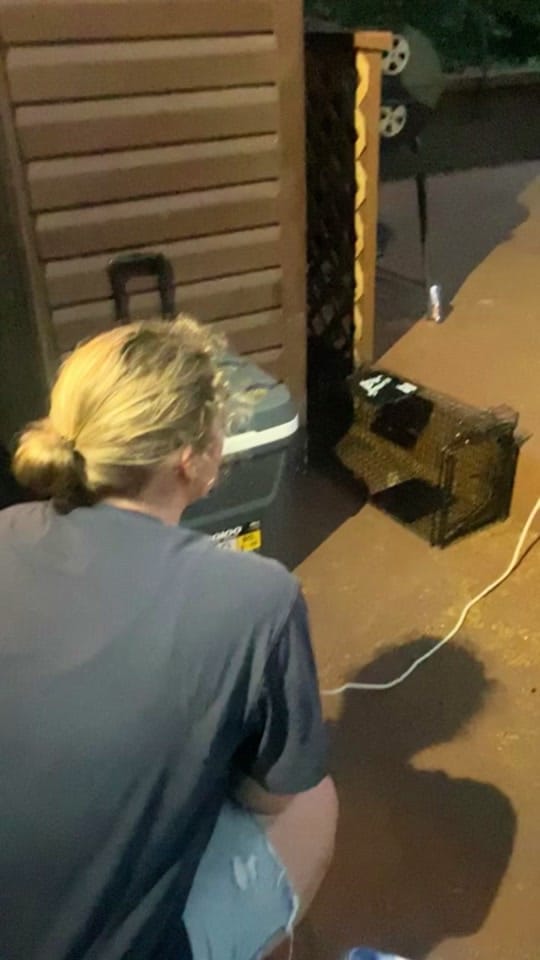 Post 5 by Dana on TikTok (video)