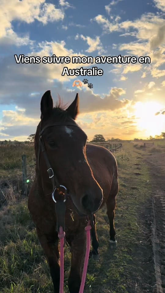 Post 1 by theadventureofnelson on TikTok (video)