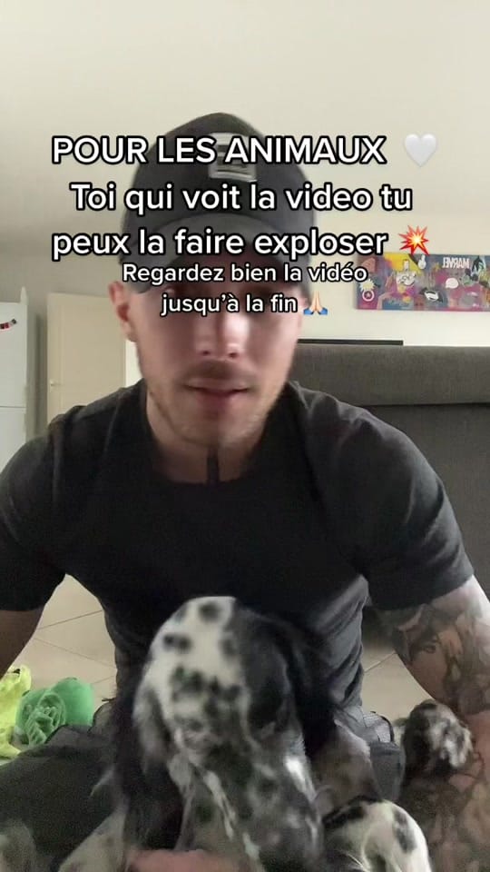 Post 9 by theadventureofnelson on TikTok (video)