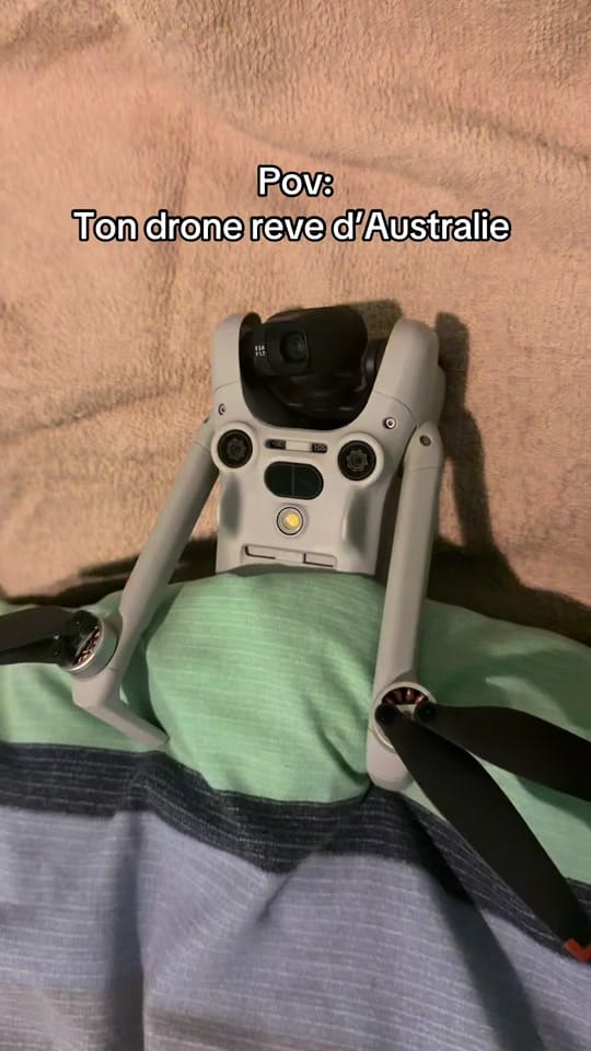 Post 5 by theadventureofnelson on TikTok (video)