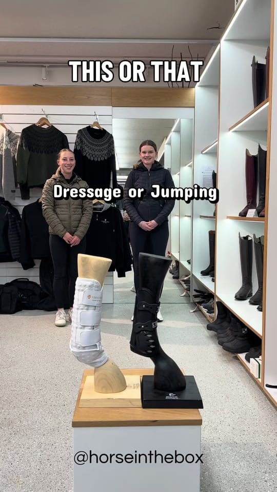 Post 9 by Horse in the Box on TikTok (video)