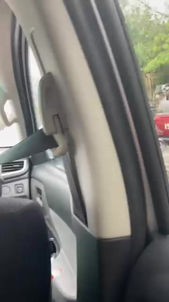 Post 10 by Bell Family on TikTok (video)
