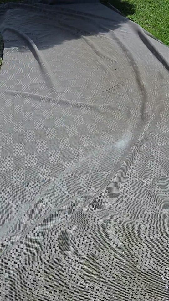 Post 7 by Bell Family on TikTok (video)