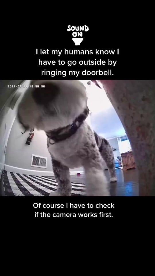Post 8 by Tucker Dood 😎 on TikTok (video)