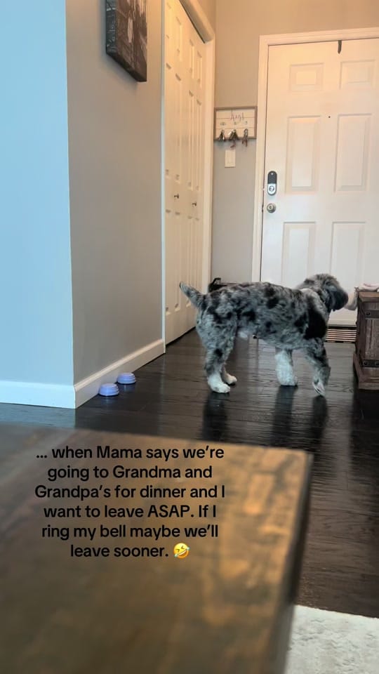 Post 7 by Tucker Dood 😎 on TikTok (video)