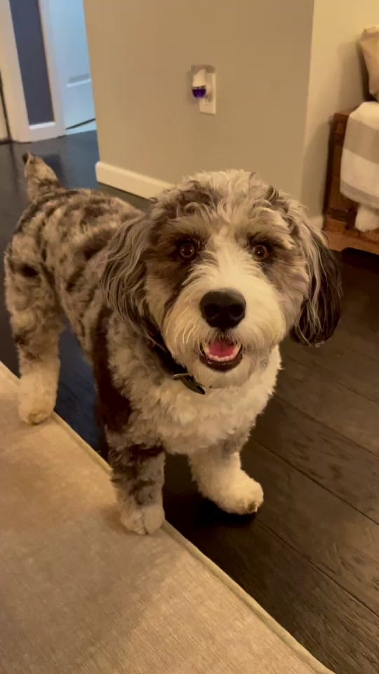 Post 9 by Tucker Dood 😎 on TikTok (video)