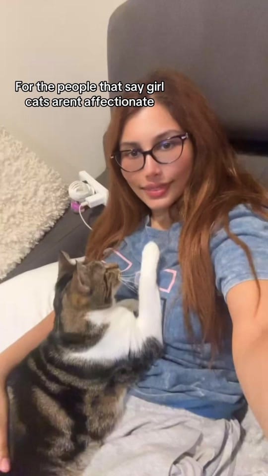 Post 1 by Rescue Cat Crew on TikTok (video)