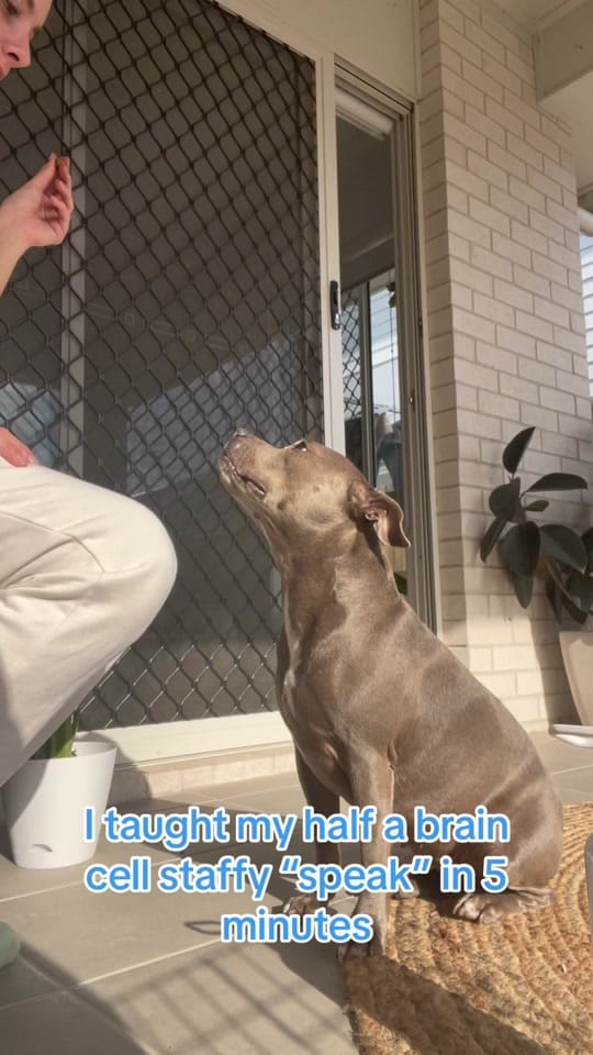 Post 6 by Shay on TikTok (video)
