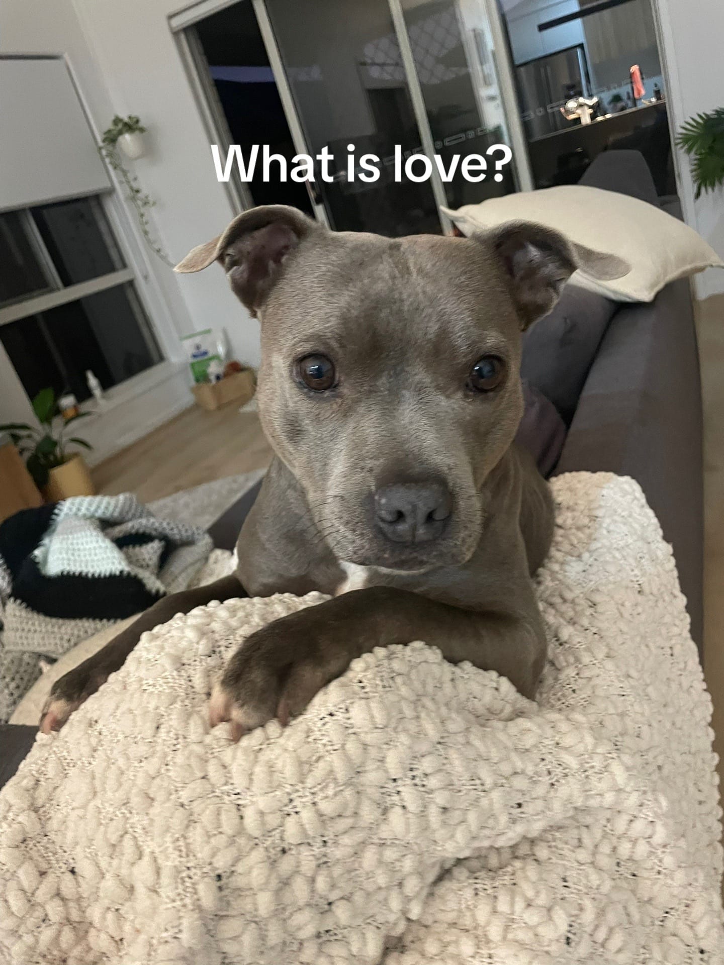 Post 3 by Shay on TikTok (video)