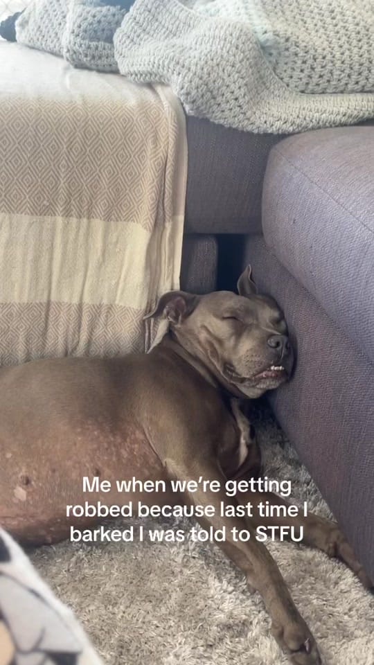 Post 10 by Shay on TikTok (video)