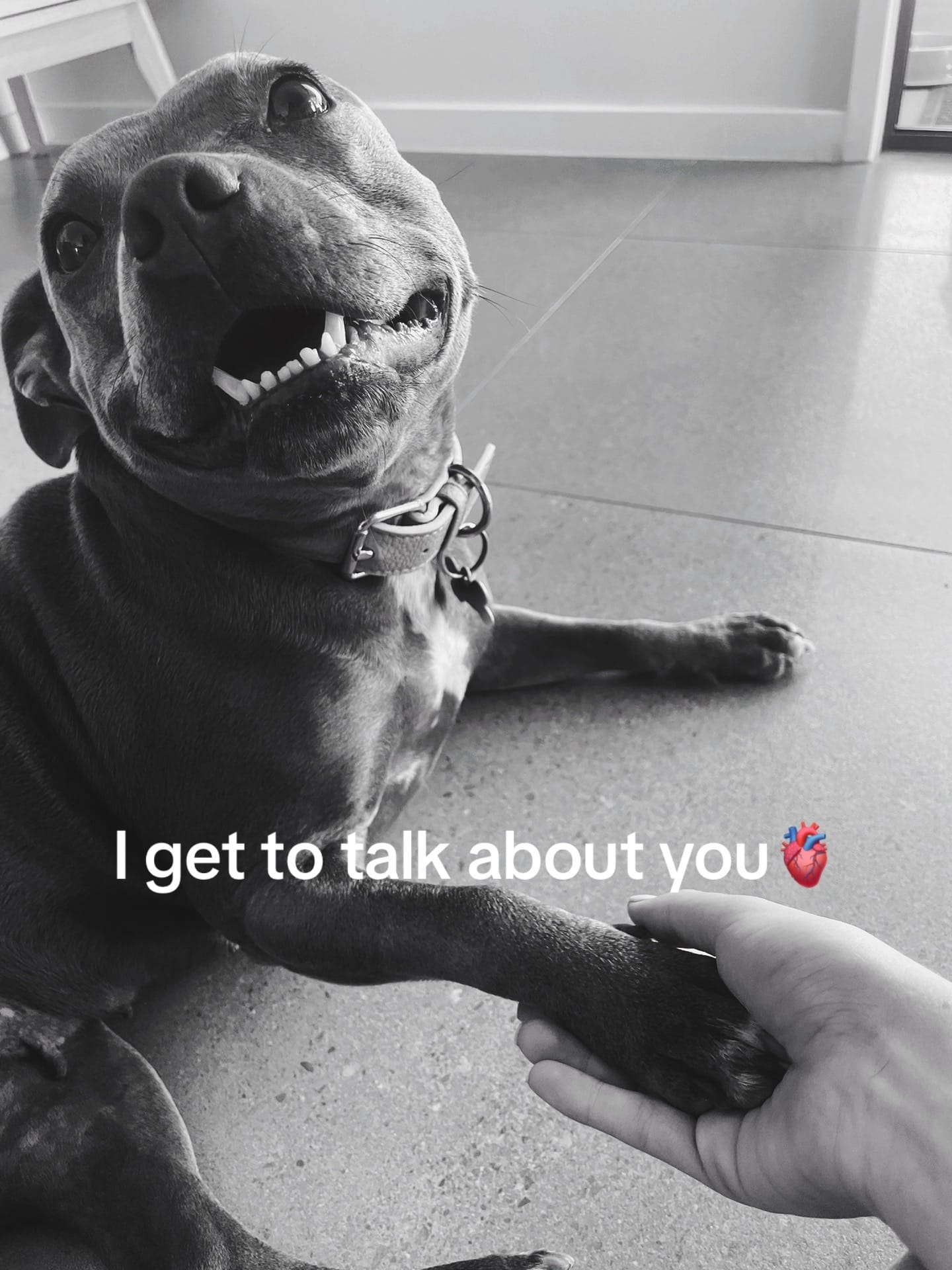 Post 4 by Shay on TikTok (video)