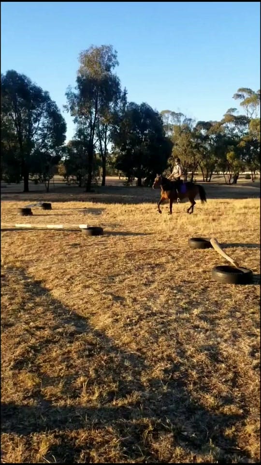 Post 10 by Hannah Hecker on TikTok (video)
