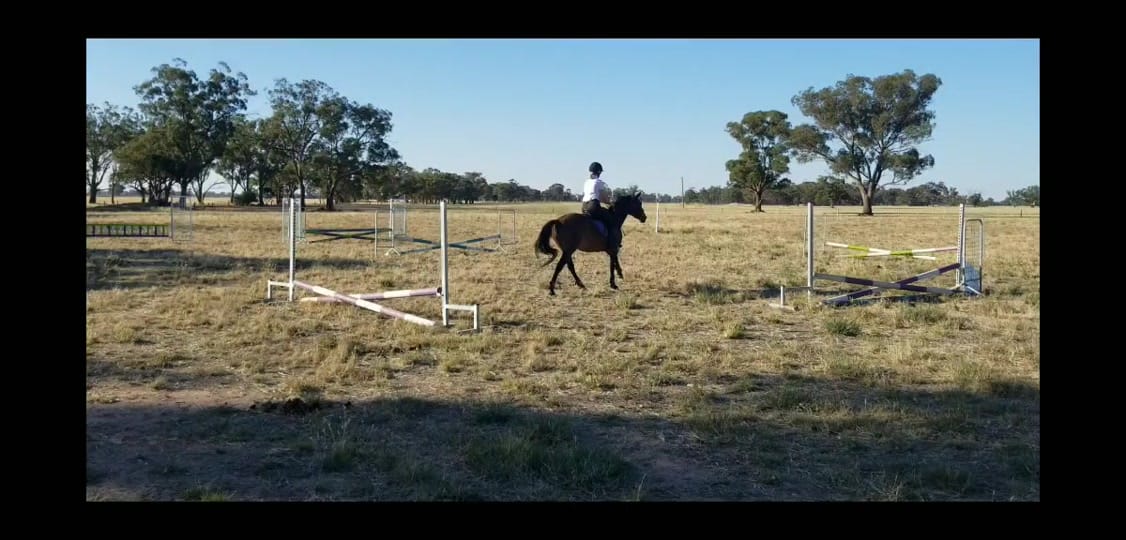 Post 9 by Hannah Hecker on TikTok (video)