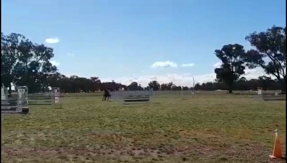Post 2 by Hannah Hecker on TikTok (video)