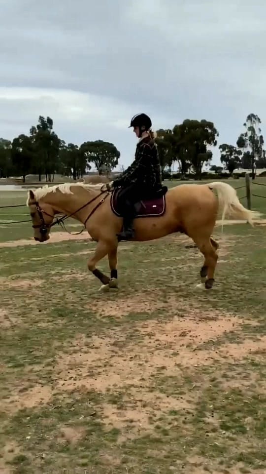 Post 4 by Hannah Hecker on TikTok (video)