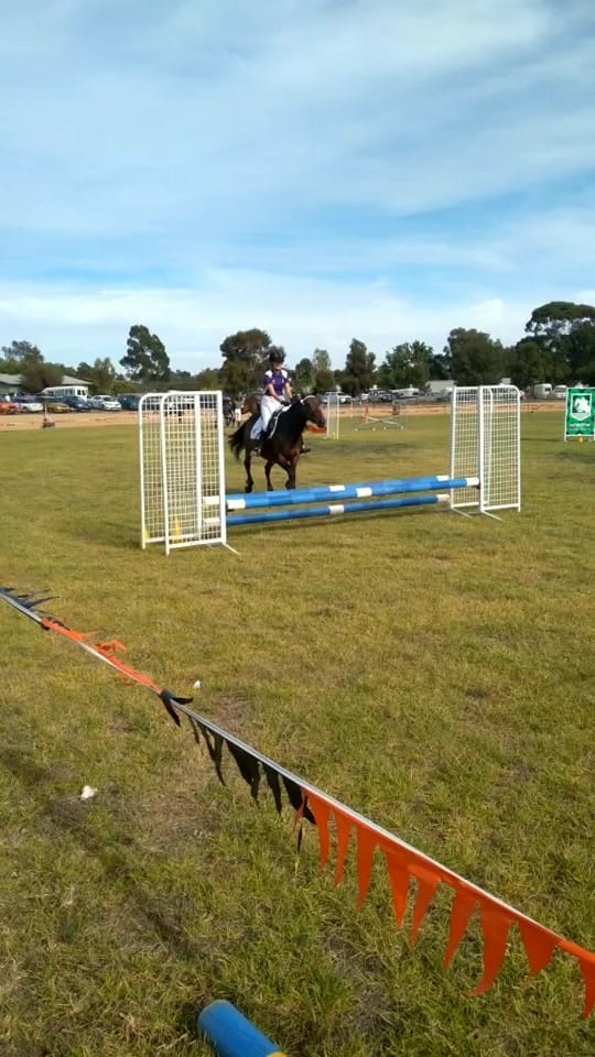 Post 6 by Hannah Hecker on TikTok (video)