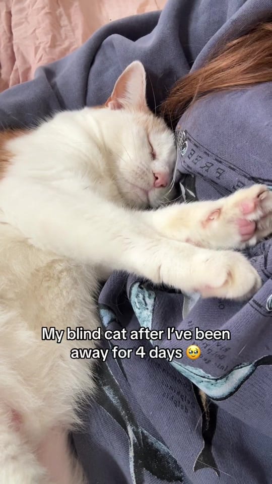 Post 4 by Kelly Dinham on TikTok (video)