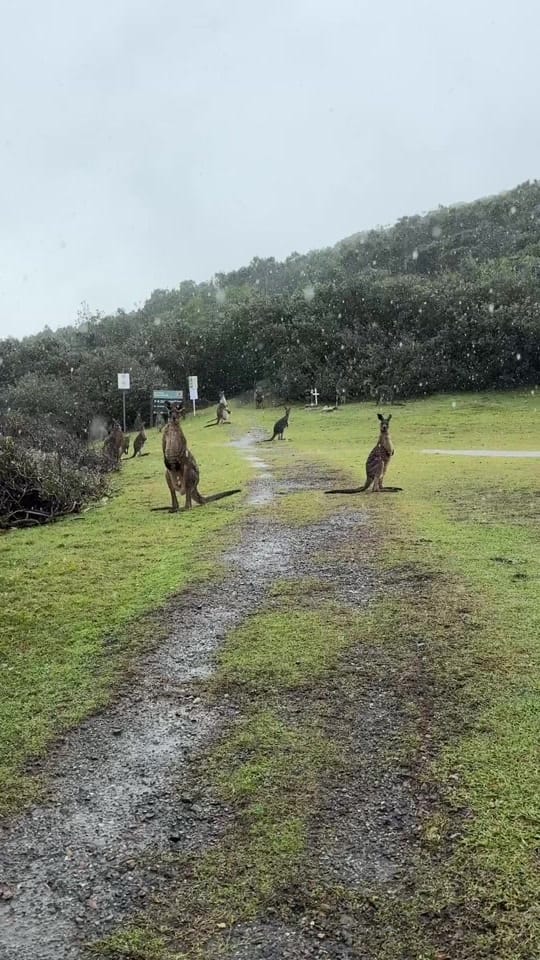 Post 7 by Kelly Dinham on TikTok (video)