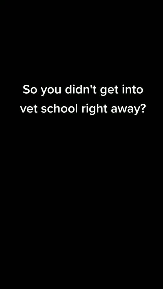 Post 10 by 🏳️‍🌈 Aussie Vet 🐮🐷🐶🐱 on TikTok (video)