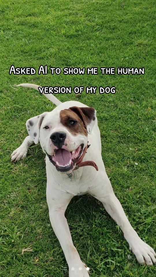 Post 3 by 🏳️‍🌈 Aussie Vet 🐮🐷🐶🐱 on TikTok (video)