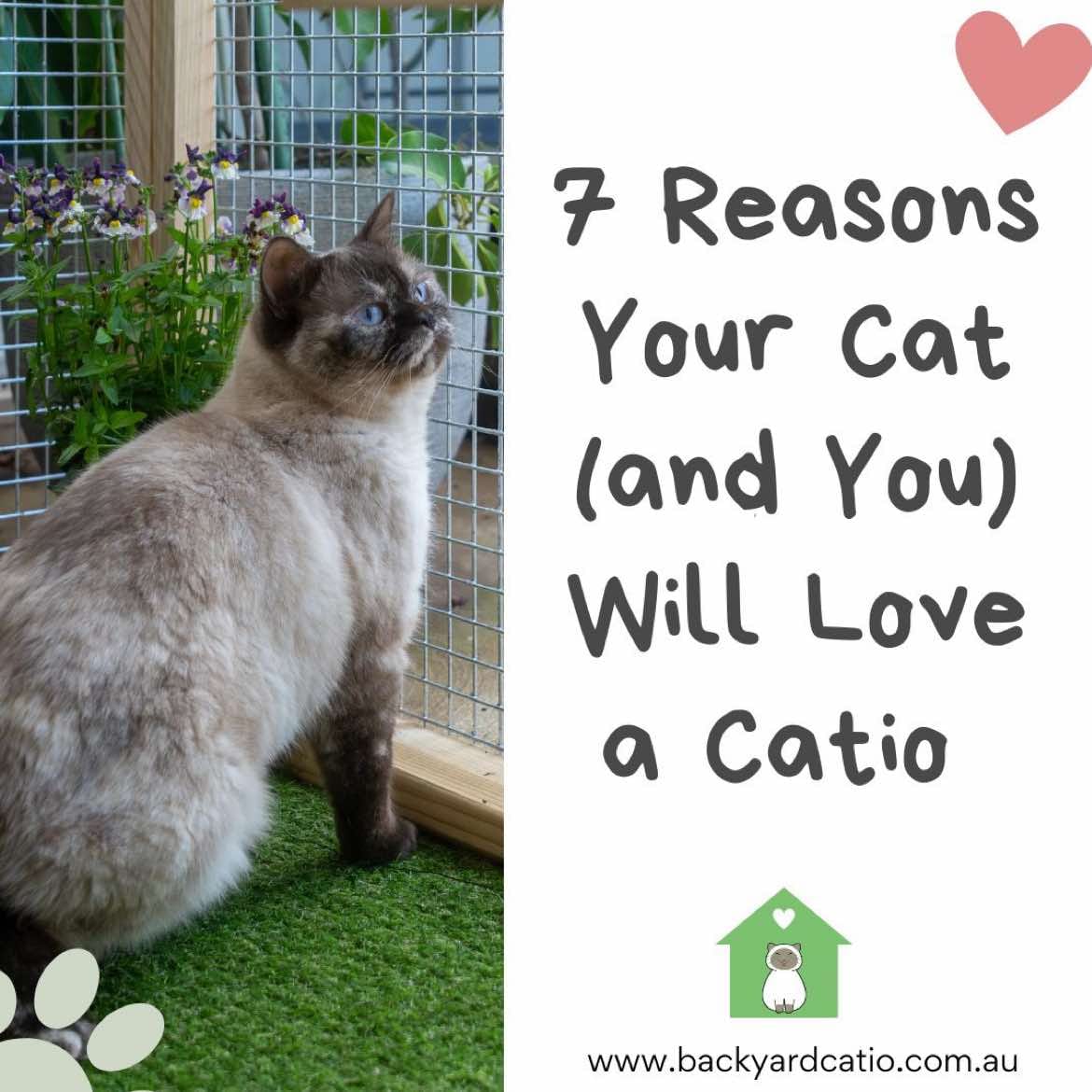 Post 10 by Backyard Catio Builder on TikTok (video)