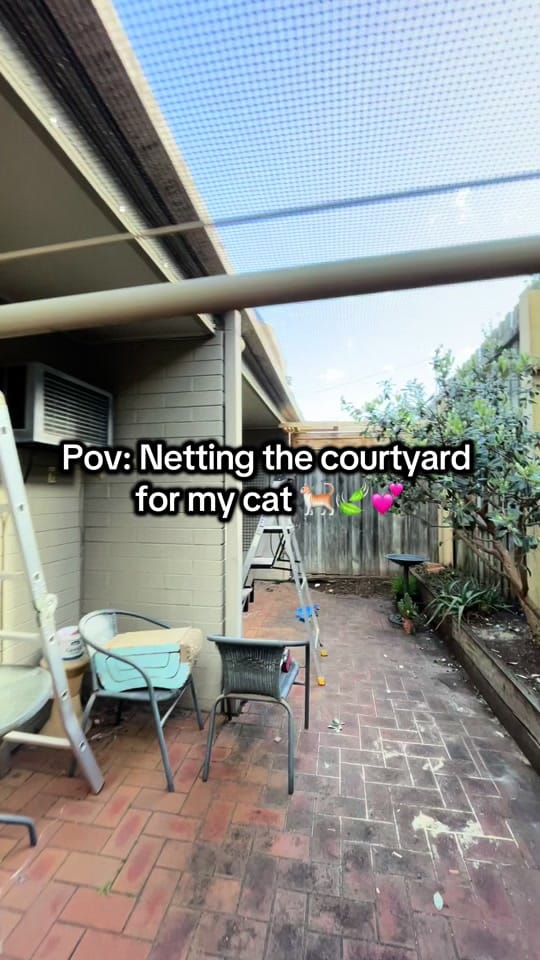 Post 3 by Backyard Catio Builder on TikTok (video)