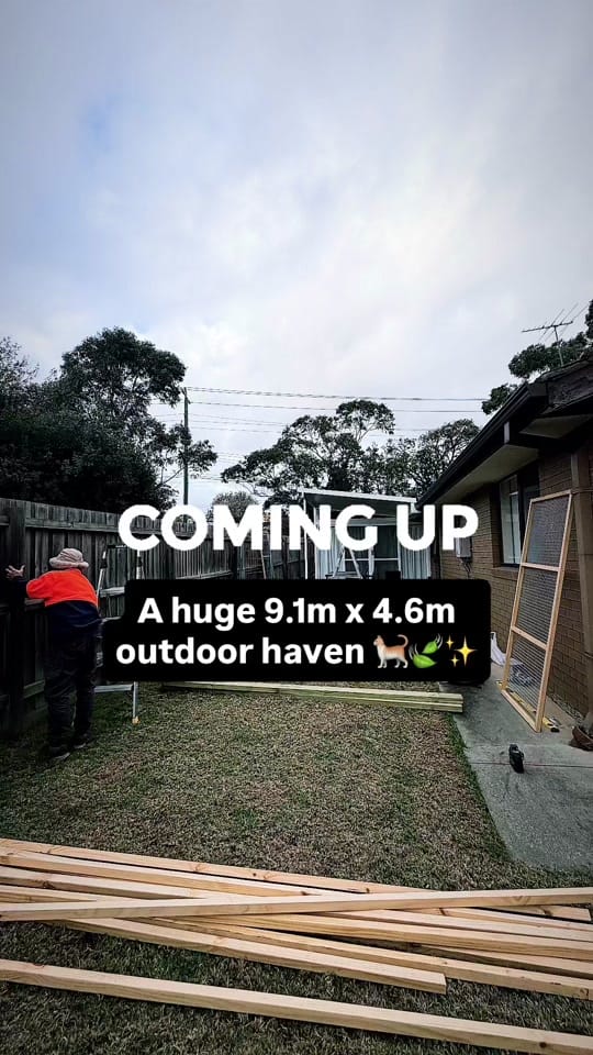 Post 1 by Backyard Catio Builder on TikTok (video)