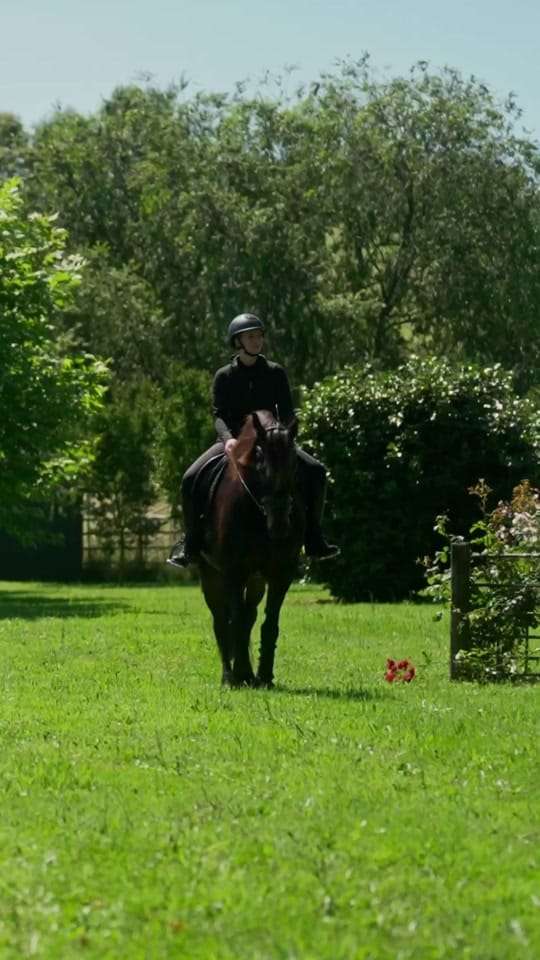 Post 1 by Horseland on TikTok (video)