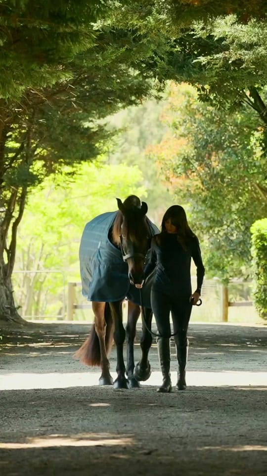 Post 2 by Horseland on TikTok (video)