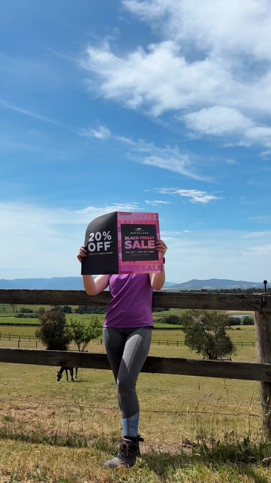 Post 9 by Horseland on TikTok (video)