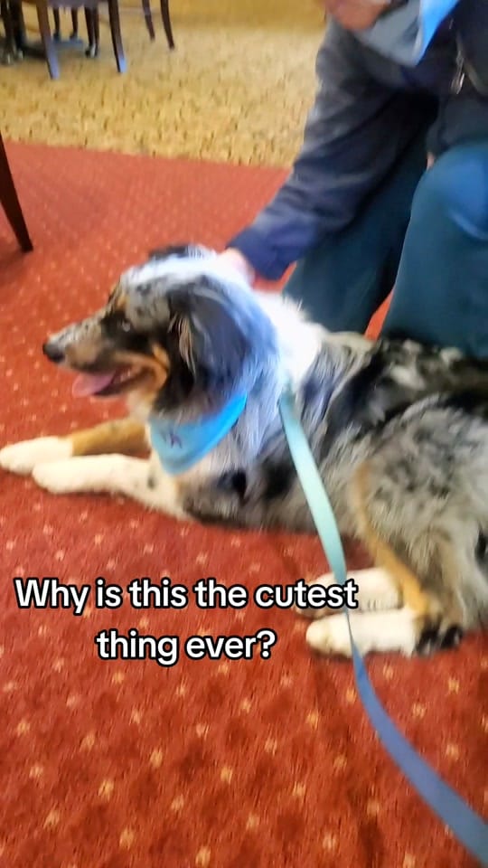 Post 7 by Shannon on TikTok (video)