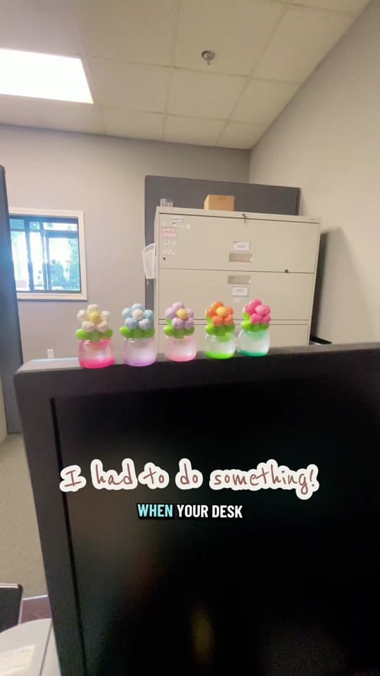 Post 8 by The Saucy Aussie 🐾 on TikTok (video)