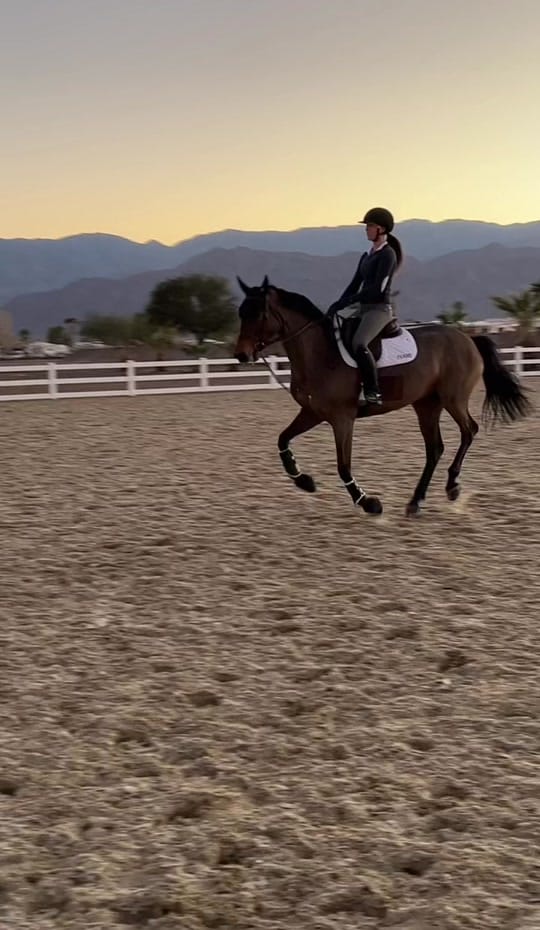 Post 8 by lillytrevorrowequestrian on TikTok (video)