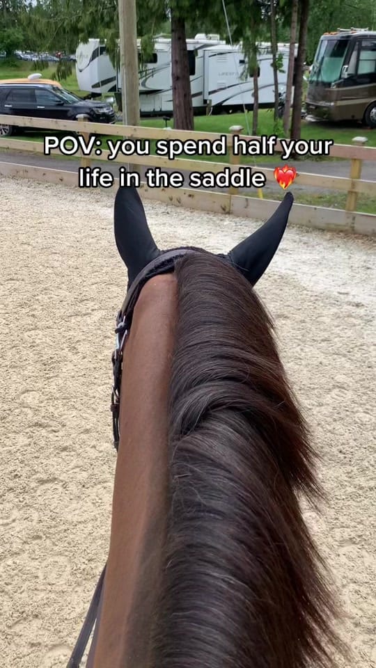 Post 10 by lillytrevorrowequestrian on TikTok (video)