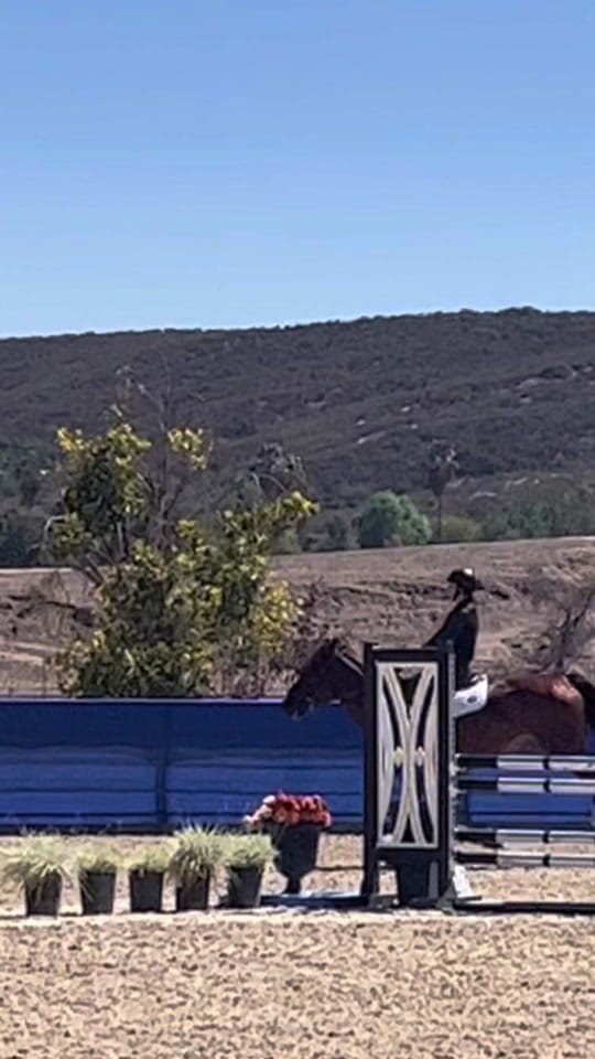 Post 4 by lillytrevorrowequestrian on TikTok (video)