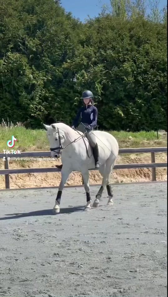 Post 6 by lillytrevorrowequestrian on TikTok (video)