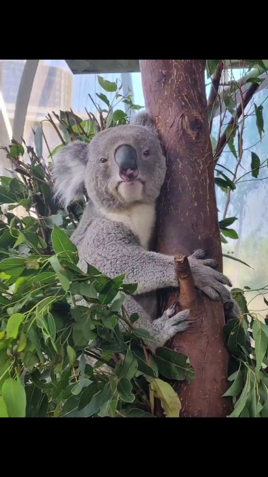 Post 3 by reneehowell18 on TikTok (video)