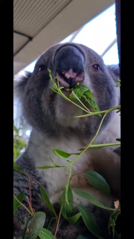 Post 5 by reneehowell18 on TikTok (video)