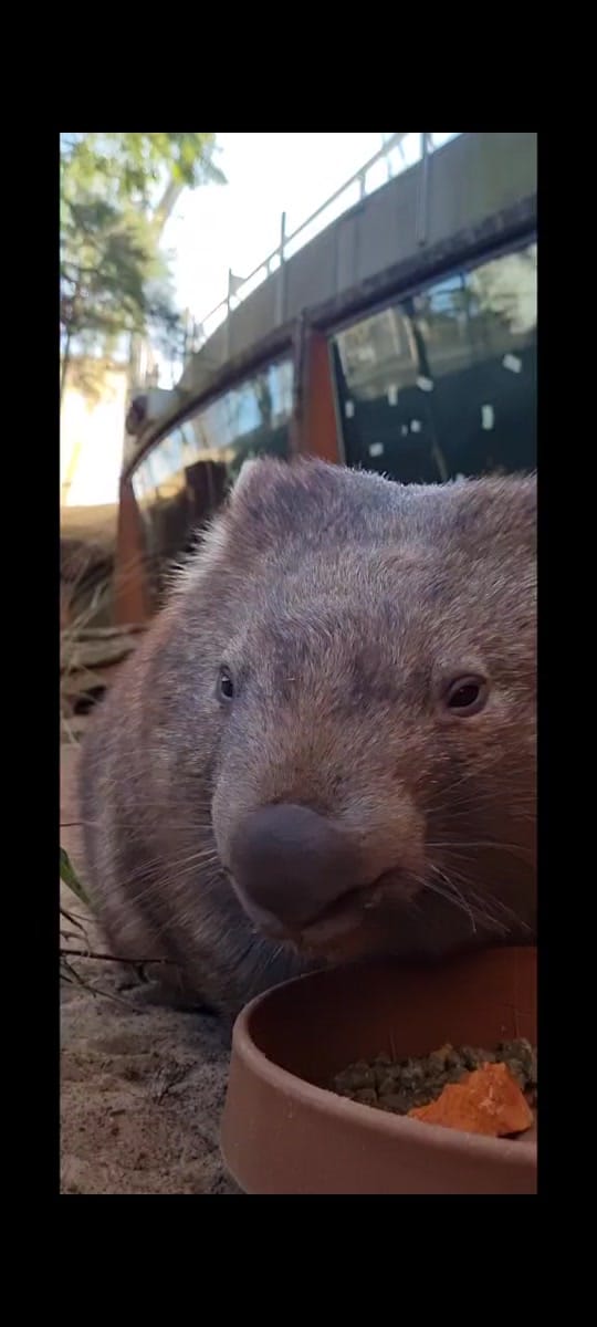 Post 6 by reneehowell18 on TikTok (video)