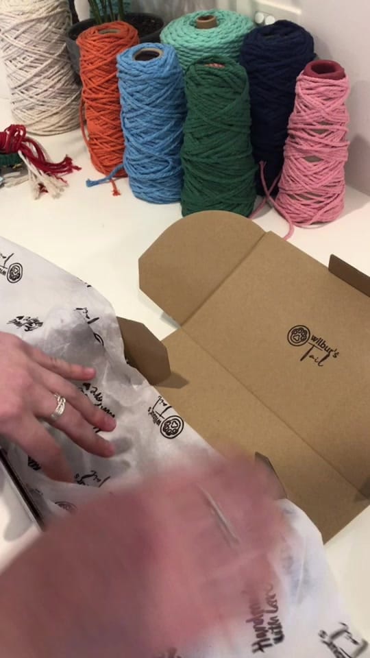 Post 5 by wilburstail on TikTok (video)