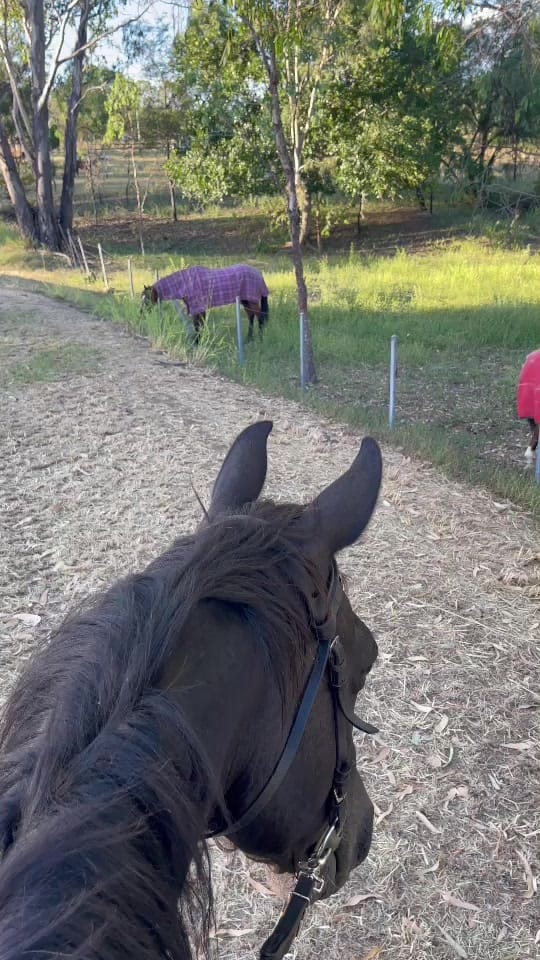 Post 10 by Sarah-Jayne on TikTok (video)