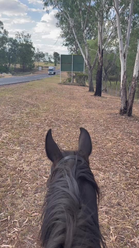 Post 1 by Sarah-Jayne on TikTok (video)