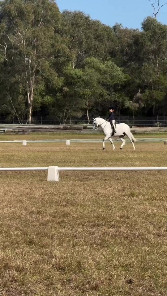 Post 5 by HLS TRICK RIDING on TikTok (video)