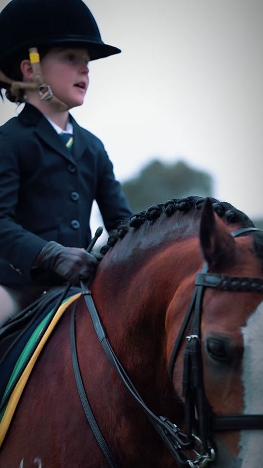 Post 8 by HLS TRICK RIDING on TikTok (video)