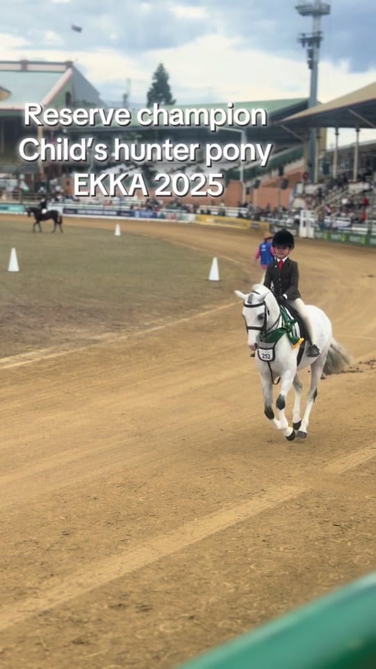 Post 3 by HLS TRICK RIDING on TikTok (video)